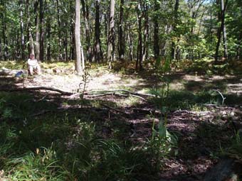 community photo